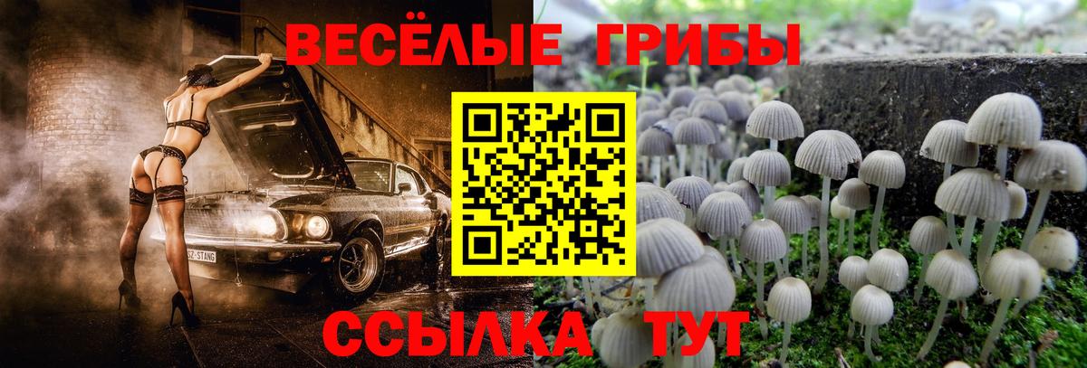 Галлюциногенные грибы мухоморы  Вход с VPN  Джанкой  Галлюциногенные грибы MAGIC MUSHROOMS 
